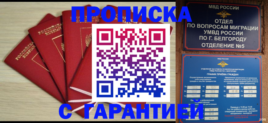 миграционный учет в Палласовке
